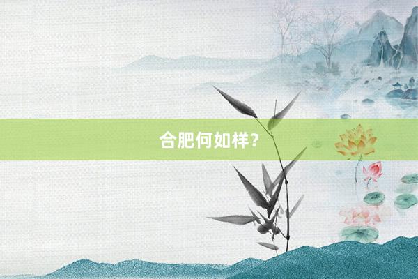 合肥何如样？